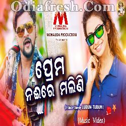 Prema Naire Budi Malini - Odia Dance Song By Human Sagar